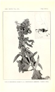 n405_w1150