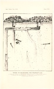 n528_w1150