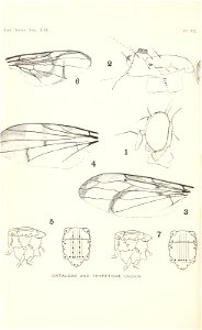n119_w1150