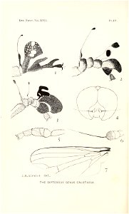 n161_w1150