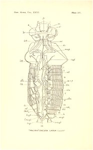 n455_w1150