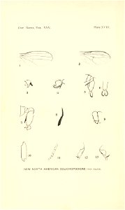 n533_w1150