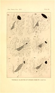 n58_w1150
