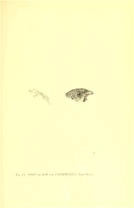 n158_w1150