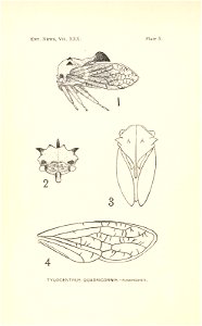 n271_w1150