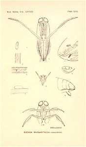 n228_w1150