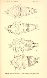 n528_w1150