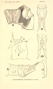 n206_w1150