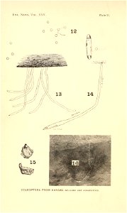 n41_w1150