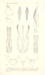 n160_w1150