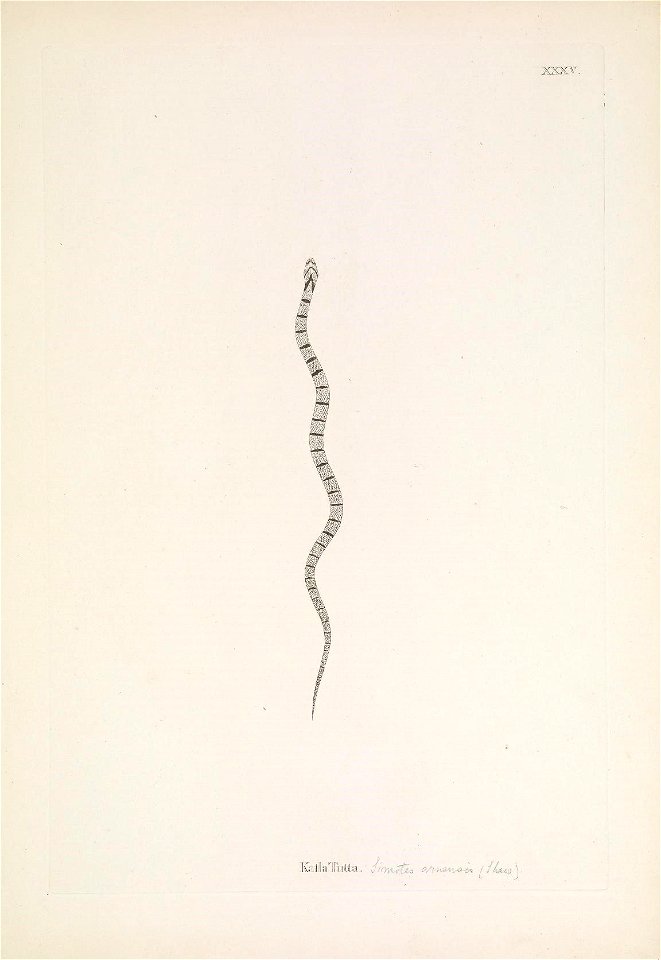 n142_w1150