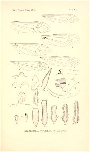 n438_w1150
