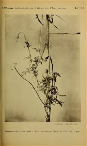 n912_w1150