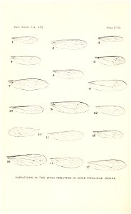 n463_w1150