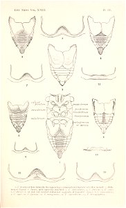 n158_w1150