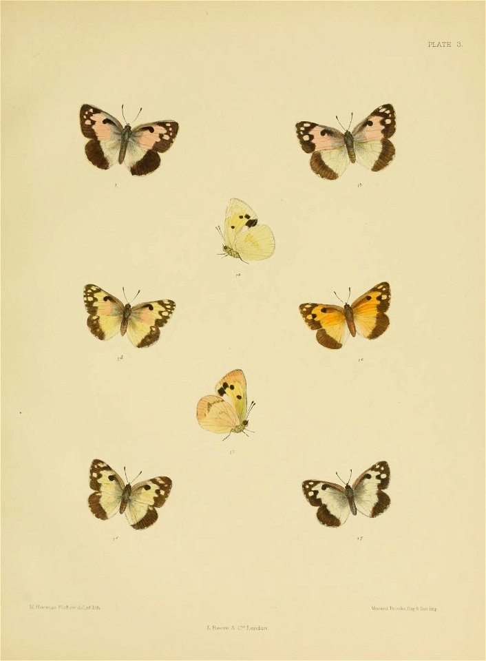 n170_w1150