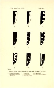 n191_w1150
