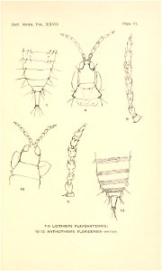 n156_w1150