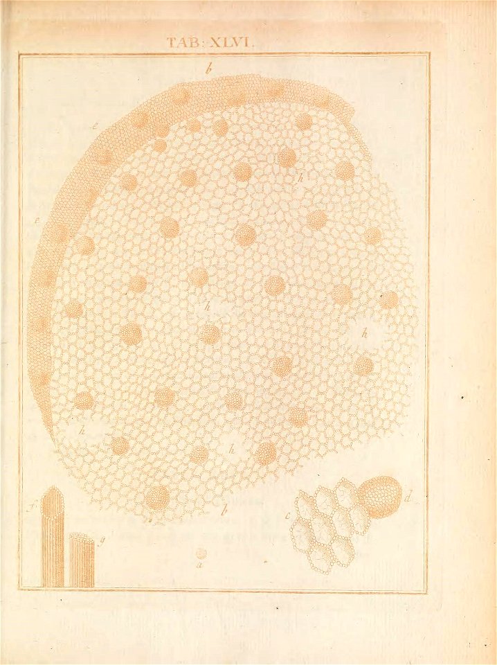 n212_w1150