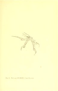 n180_w1150
