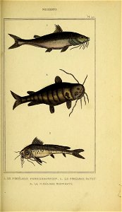 n110_w1150