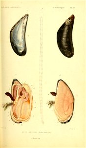n404_w1150