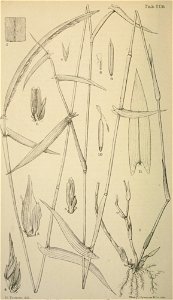n373_w1150