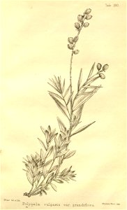n185_w1150