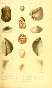 n396_w1150