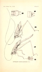 n170_w1150
