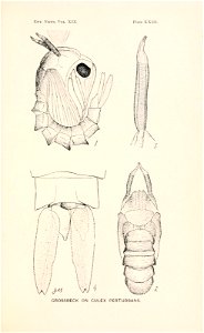 n548_w1150