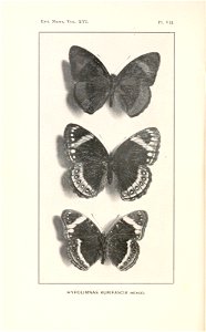 n193_w1150