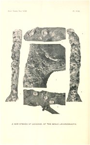 n187_w1150