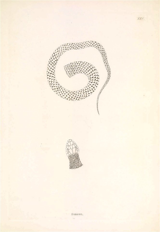 n122_w1150