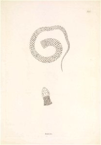 n122_w1150