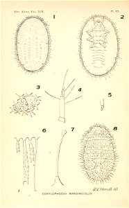 n159_w1150