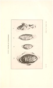 n156_w1150