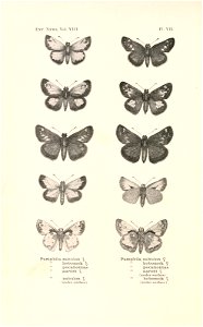 n145_w1150