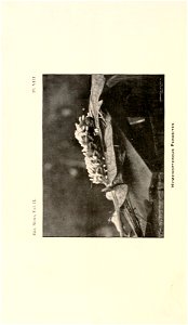 n373_w1150