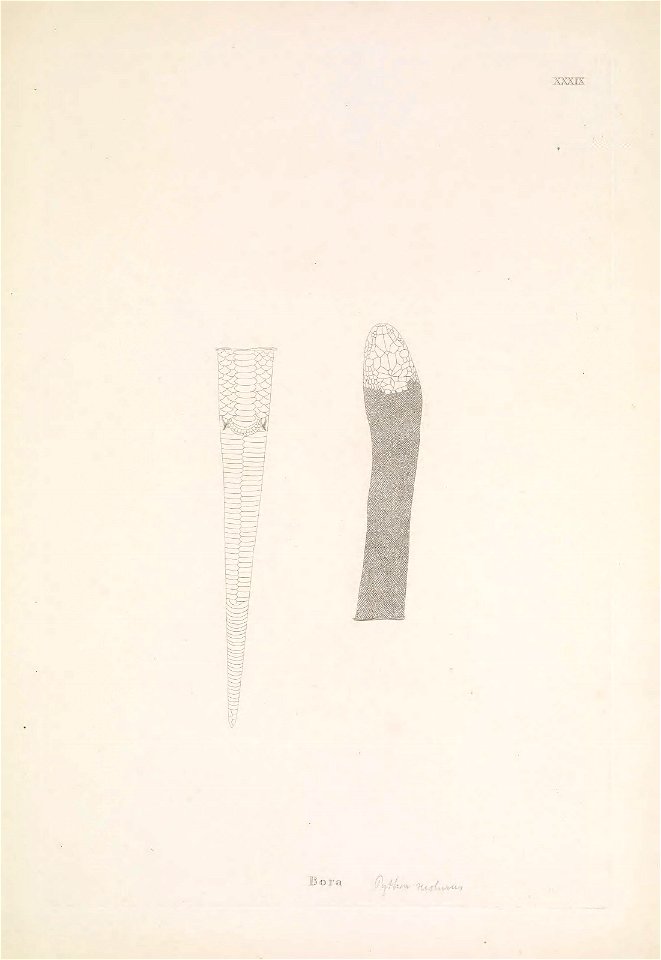 n150_w1150