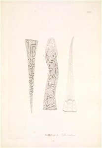 n120_w1150