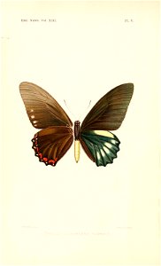 n151_w1150