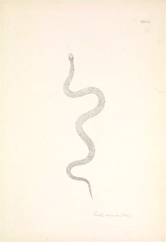 n148_w1150