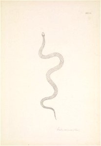 n148_w1150