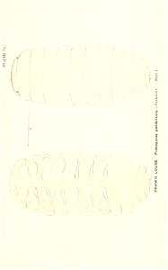 n808_w1150