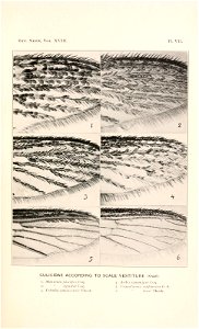 n196_w1150