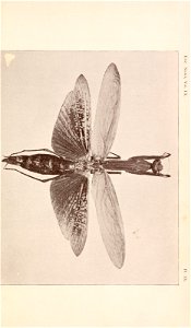 n170_w1150