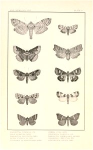 n93_w1150