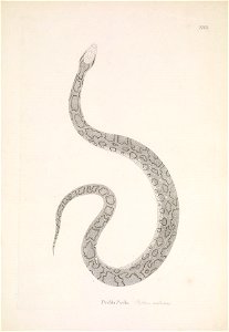 n116_w1150