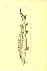 n199_w1150